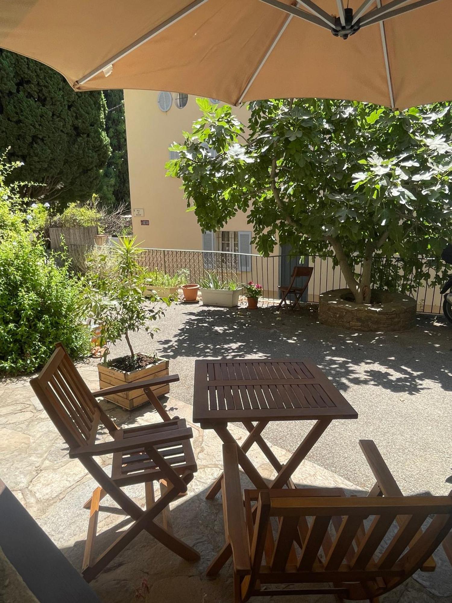 בורם-לה-מימוזה Cosy Studio - Place Du Figuier מראה חיצוני תמונה